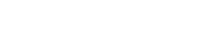 Plementus